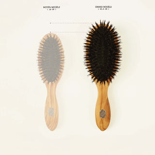 Large-format hairbrush for thick or curly hair from the Beauté collection