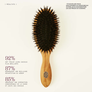Proven effectiveness - classic size treatment brush for thick or curly hair - Collection Beauté