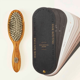 Brosse à cheveux Démêlante