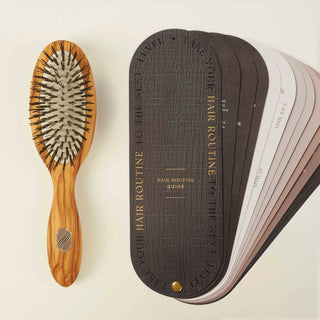 Brosse à cheveux Démêlante