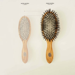 La brosse à cheveux de démêlage grand format pour cheveux fins à normaux de la collection Beauté