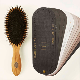 Care Hairbrush