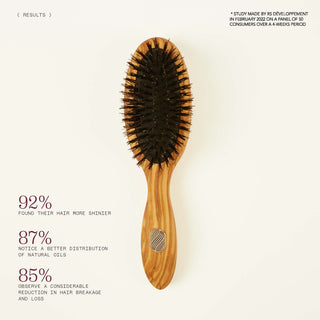 Proven effectiveness - The petite size care hairbrush for thick or curly hair - Beauté Collection