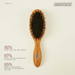 Proven effectiveness - The petite size care hairbrush for fine to medium hair - Beauté Collection