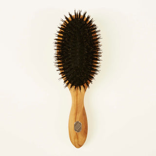 Brosse à cheveux - Soin & Brillance