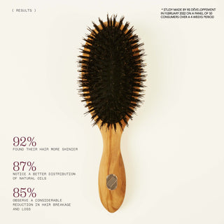 Proven effectiveness - The classic size care hairbrush for thick or curly hair - Beauté Collection