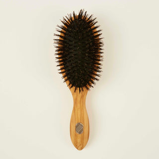 Brosse à cheveux - Soin & Brillance