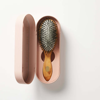 hairbrush - Detangle