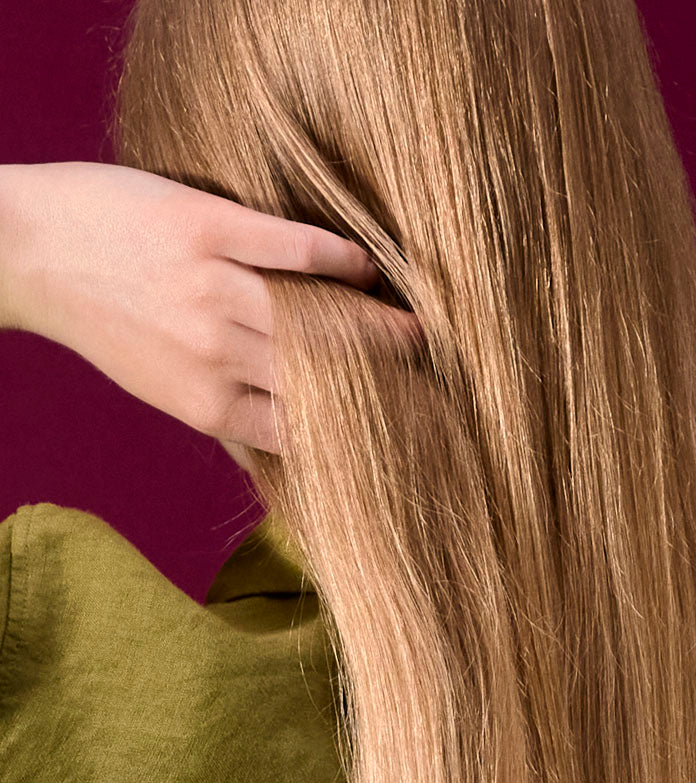 Altesse Studio - Exceptional hairbrushes in boar bristles, made in France with proven effectiveness