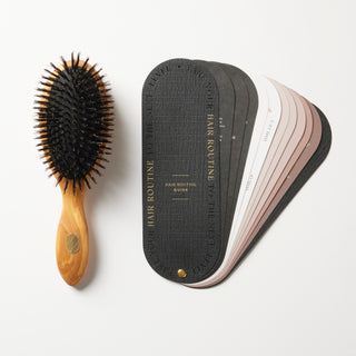 Brosse à cheveux - Soin & Brillance