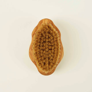Brosse Corps VITALIS