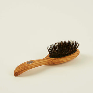 Brosse soin et brillance - Altesse Studio