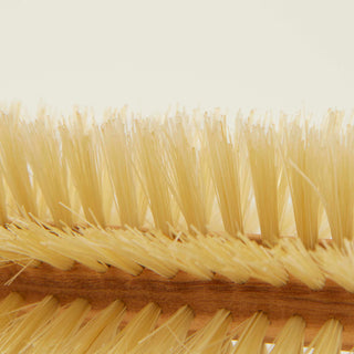Protège et fait briller les cheveux - Altesse Studio