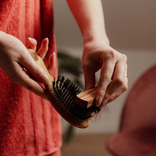 Brush care - Altesse Studio