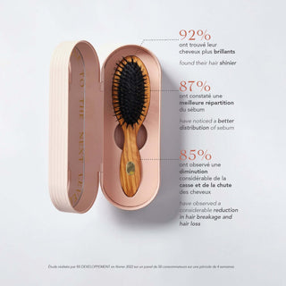Brosse de soin poils de sanglier cheveux fins à normaux - Altesse Studio